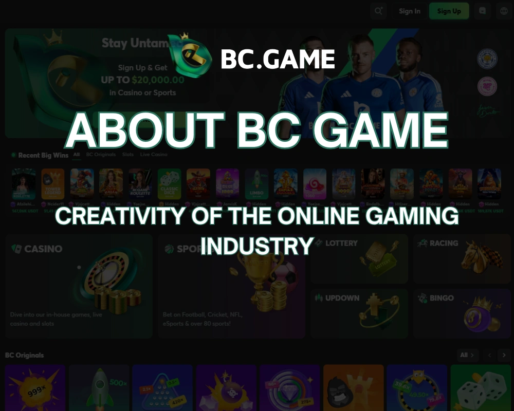 About BC Game